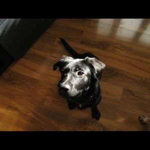 Meet your Posher, Theresa